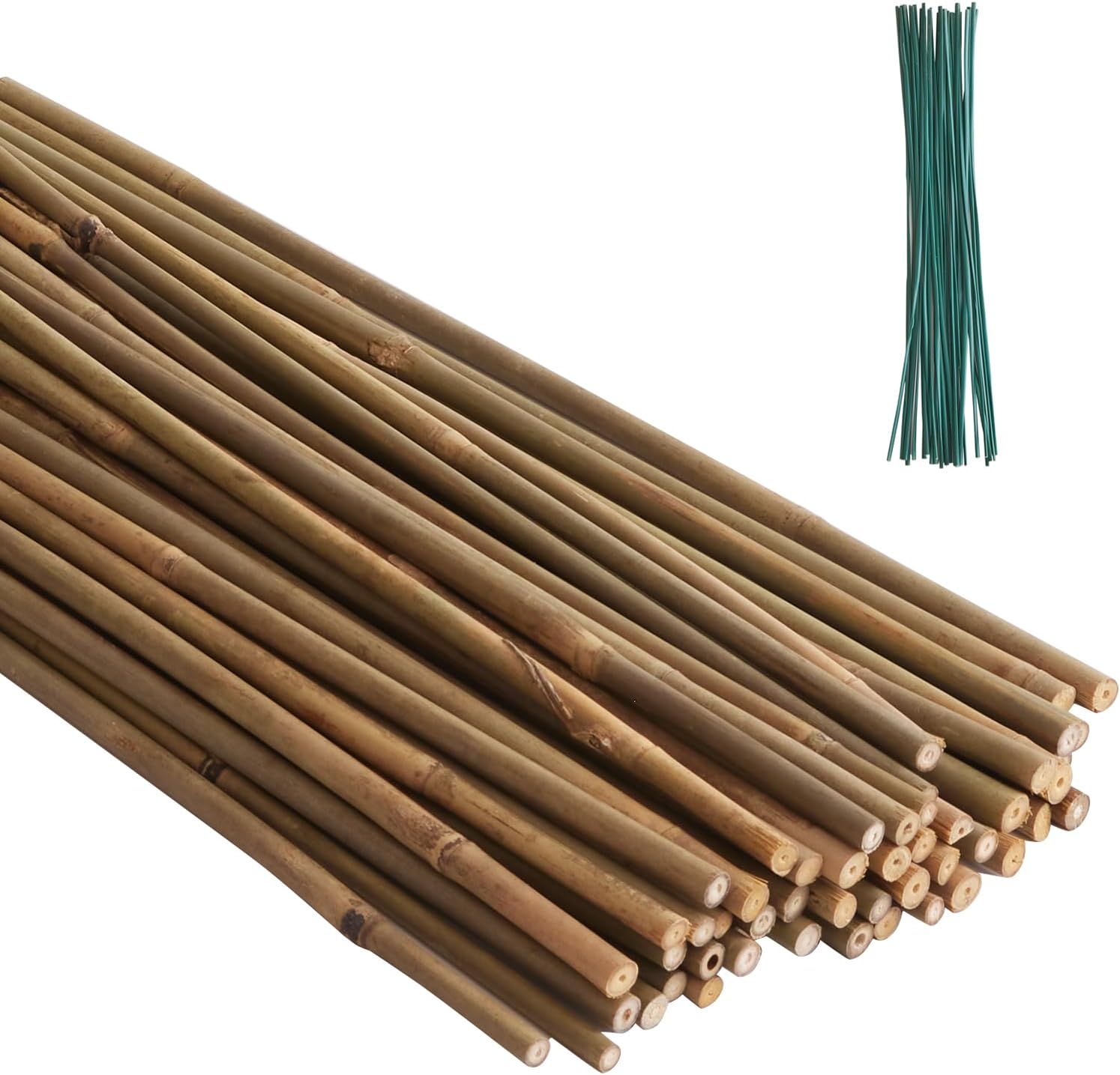 Bamboo Stakes - Eco-Friendly Plant Support Poles | 50-Pack, 4.8FT Height for Tomatoes, Beans & Flowers