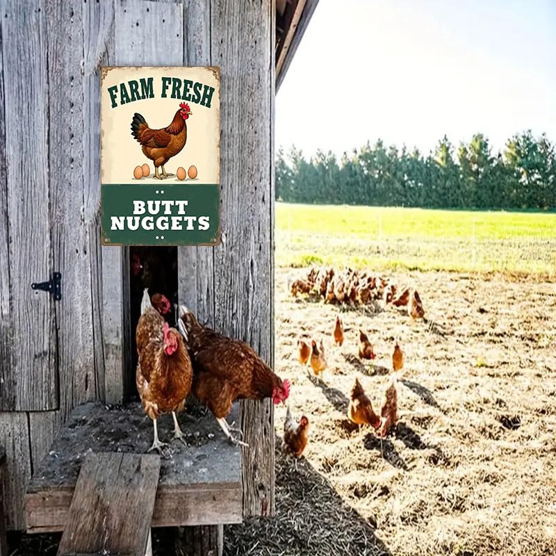Funny Chicken Coop Metal Sign, 8x12 Inch Tin Decor