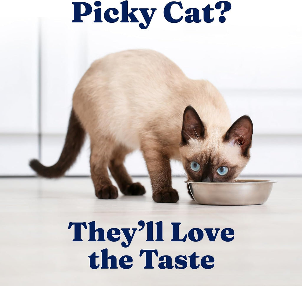 Solid Gold Wet Cat Food Pate - Grain-Free Canned Cat Food with Real Chicken & Omega Fatty Acids | 24ct/3oz