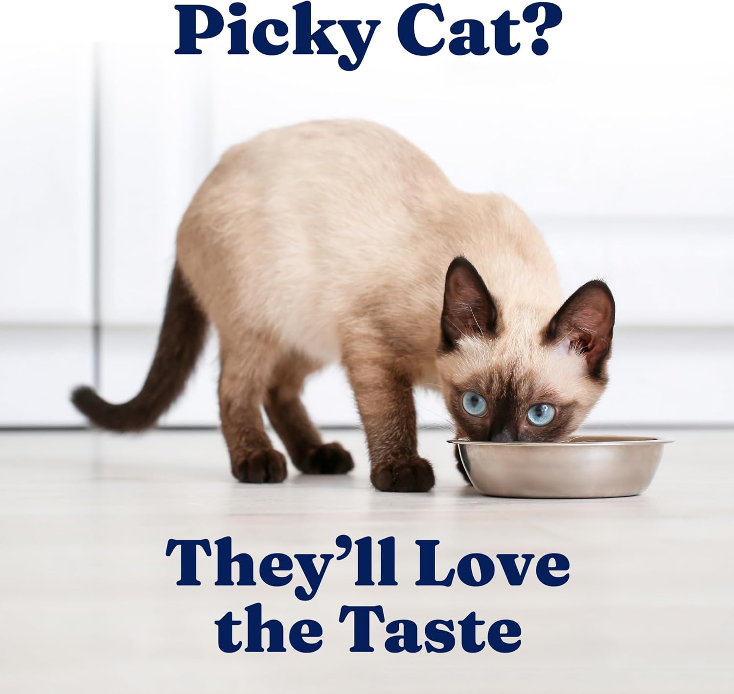 Solid Gold Wet Cat Food Pate - Grain-Free Canned Cat Food with Real Chicken & Omega Fatty Acids | 24ct/3oz