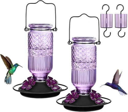 FEED GARDEN Glass Hummingbird Feeder - 16 OZ Outdoor Feeder with 4 Bee Guards & Ant Moat | Purple, 2 Pack