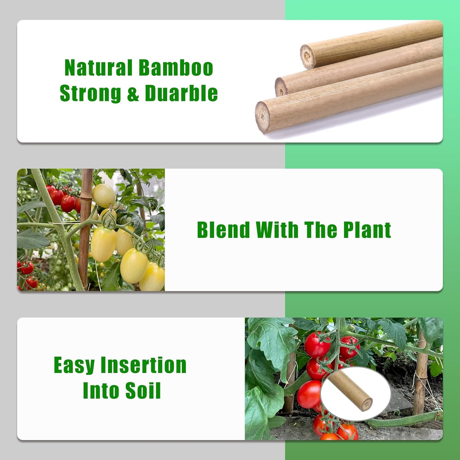 Bamboo Garden Stakes - 4 Feet Plant Support for Tomatoes, Beans, and Climbing Plants | 65 Pcs Set