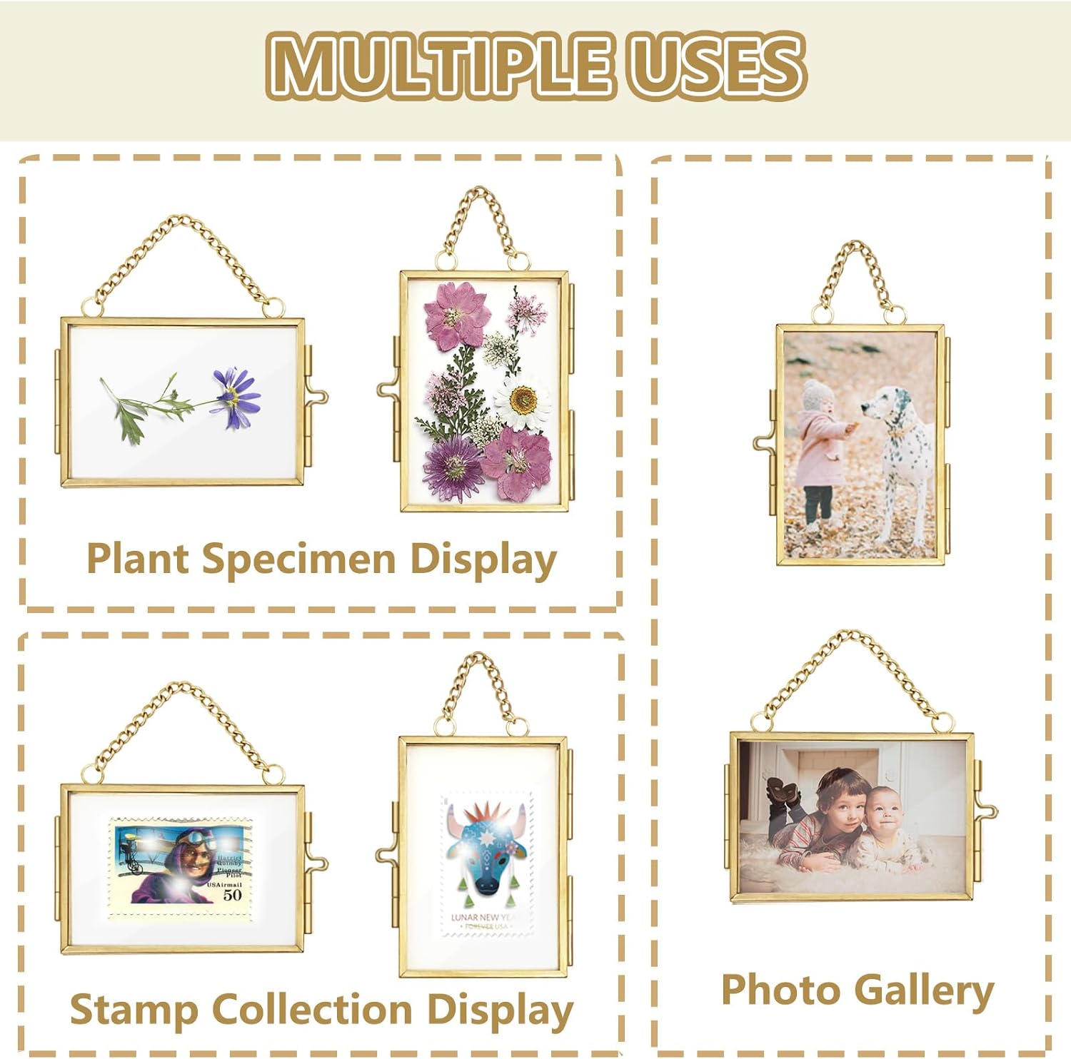 Skiennix Double Glass Frame - Mini Brass Wall Hanging Picture Frame for Pressed Flowers | 2x3 Inch, Gold