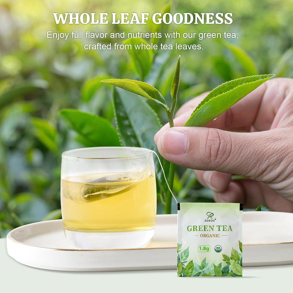 Soeos Organic Green Tea, 100 Tea Bags (Pack of 1), Caffeinated, Low Caffeine, Fresh and Healthy Green Tea, 6.3 Ounce