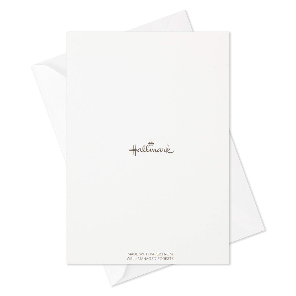 Hallmark Thanksgiving Cards Assortment, Hello Fall (16 Assorted Seasonal and Blank Cards with Envelopes)