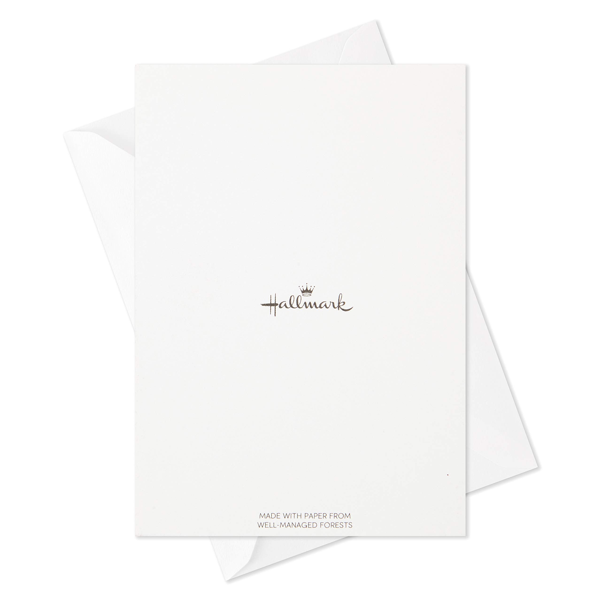Hallmark Thanksgiving Cards Assortment, Hello Fall (16 Assorted Seasonal and Blank Cards with Envelopes)