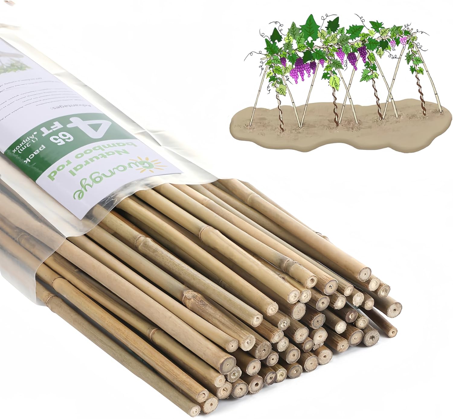Bamboo Garden Stakes - 4 Feet Plant Support for Tomatoes, Beans, and Climbing Plants | 65 Pcs Set