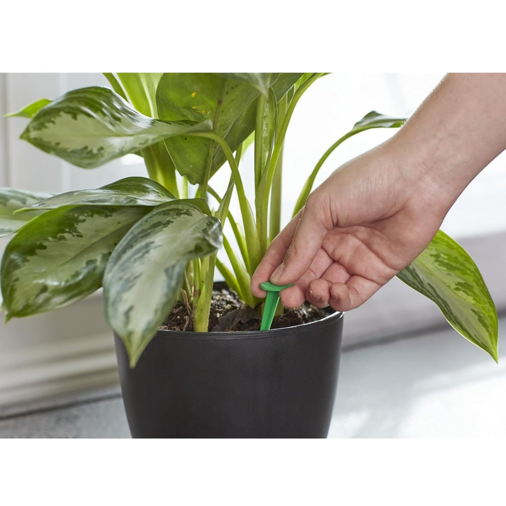 Skiennix Plant Food Spikes - 6-12-6 Nutrient Formula for Healthy Growth | 1.1 oz.