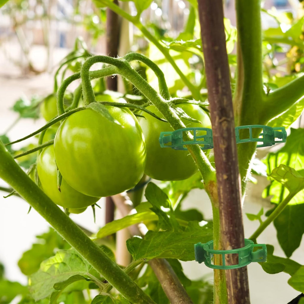 OJYUDD Plant Support Clips - 300 Pcs Plastic Tomato & Garden Vine Clips for Climbing Plants (Green)