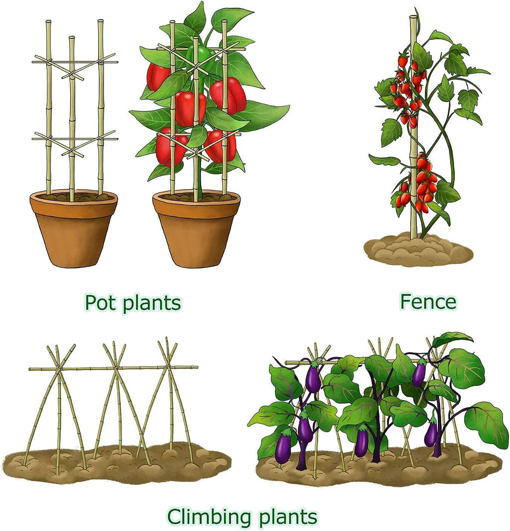 Cambaverd Bamboo Stakes - 4ft Natural Plant Support for Tomatoes & Climbing Plants | 25 Pack