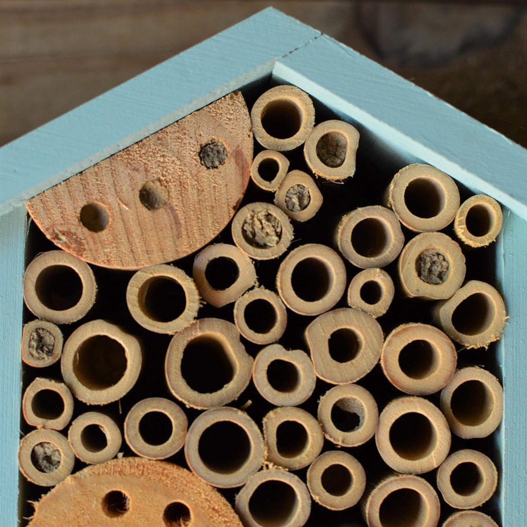 Nature's Way Bee House - PWH1-C Teal Color | Attract Pollinators to Your Garden
