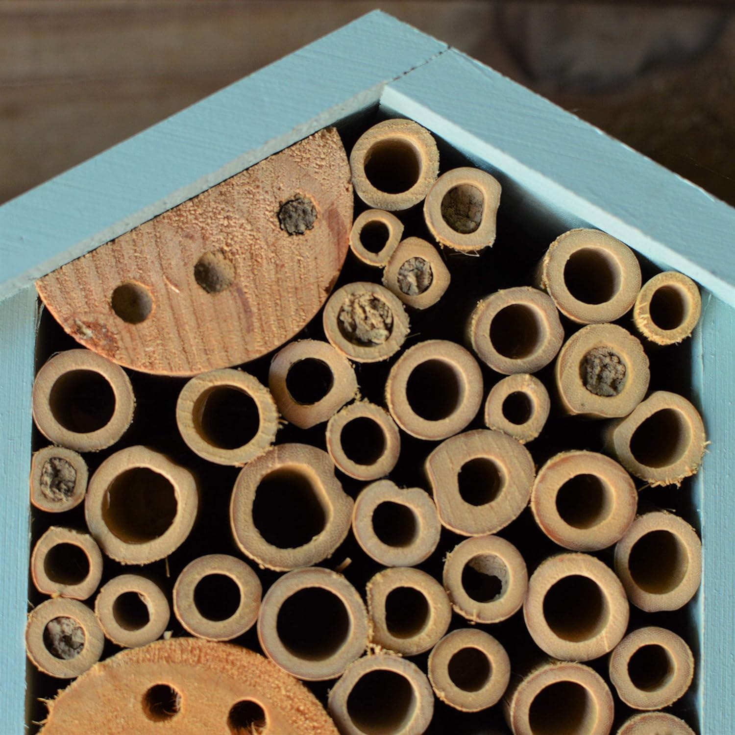 Nature's Way Bee House - PWH1-C Teal Color | Attract Pollinators to Your Garden