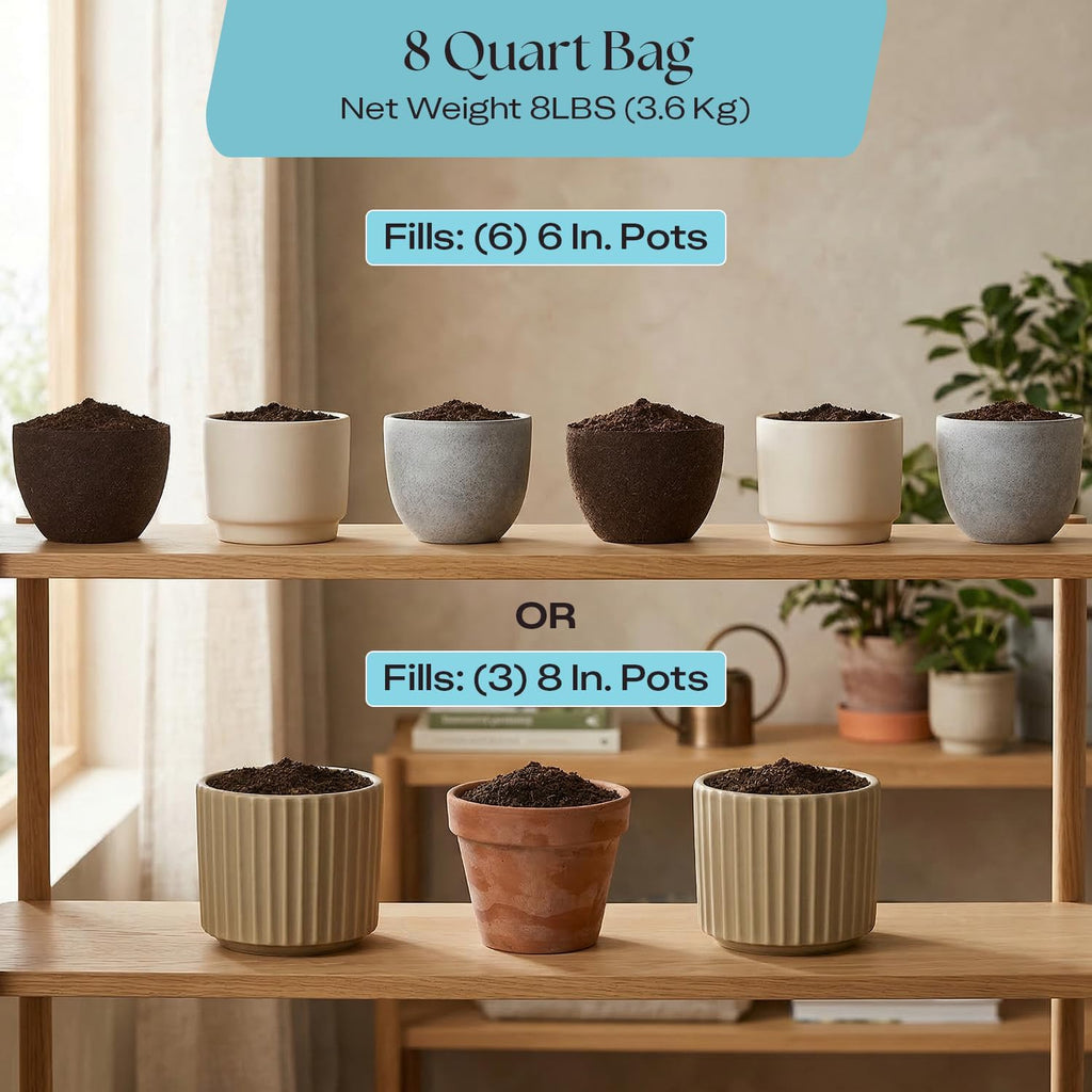 Rosy Soil Indoor Potting Soil - Organic Mix Enriched with Biochar for Healthy House Plants | 8qt