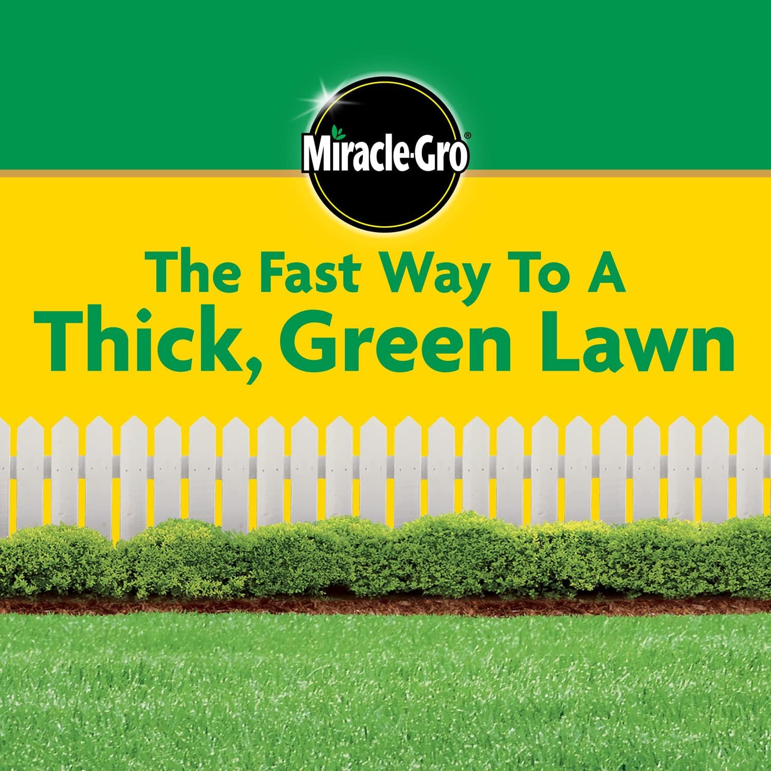 Miracle-Gro Water Soluble Lawn Food - All Grass Fertilizer Feeds Up to 7,200 Sq. Ft.