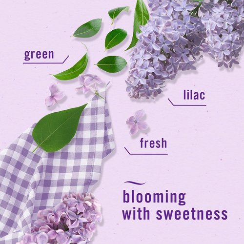 Febreze Bathroom Air Freshener - Odor-Fighting Plug-In Alternative | Lilac & Peach Scents, 4ct