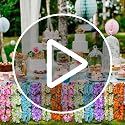 Premium Hawaiian Leis - 6 Pack Tropical Flower Decorations for Parties