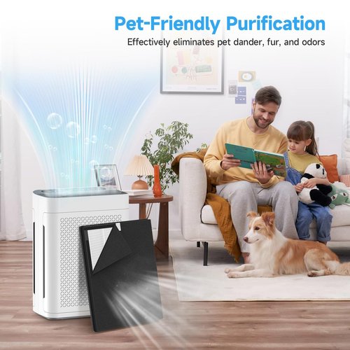AP300 Replacement Filter Compatible with DBFIT AP300 Air Purifier, 3-Stage Double-Sided Filters for Home Large Room up to 3000sq.ft with Washable Pre-filter, 2 Pack