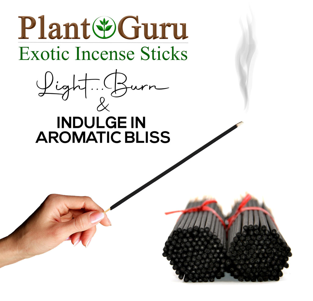 Egyptian Musk Exotic Incense Sticks Jumbo 19 Inch Long - Bulk 1 Bundle 27 to 30 Sticks - Natural 19" Extra Large with A Smooth Aroma That Burns for 3 to 4 Hours Each.