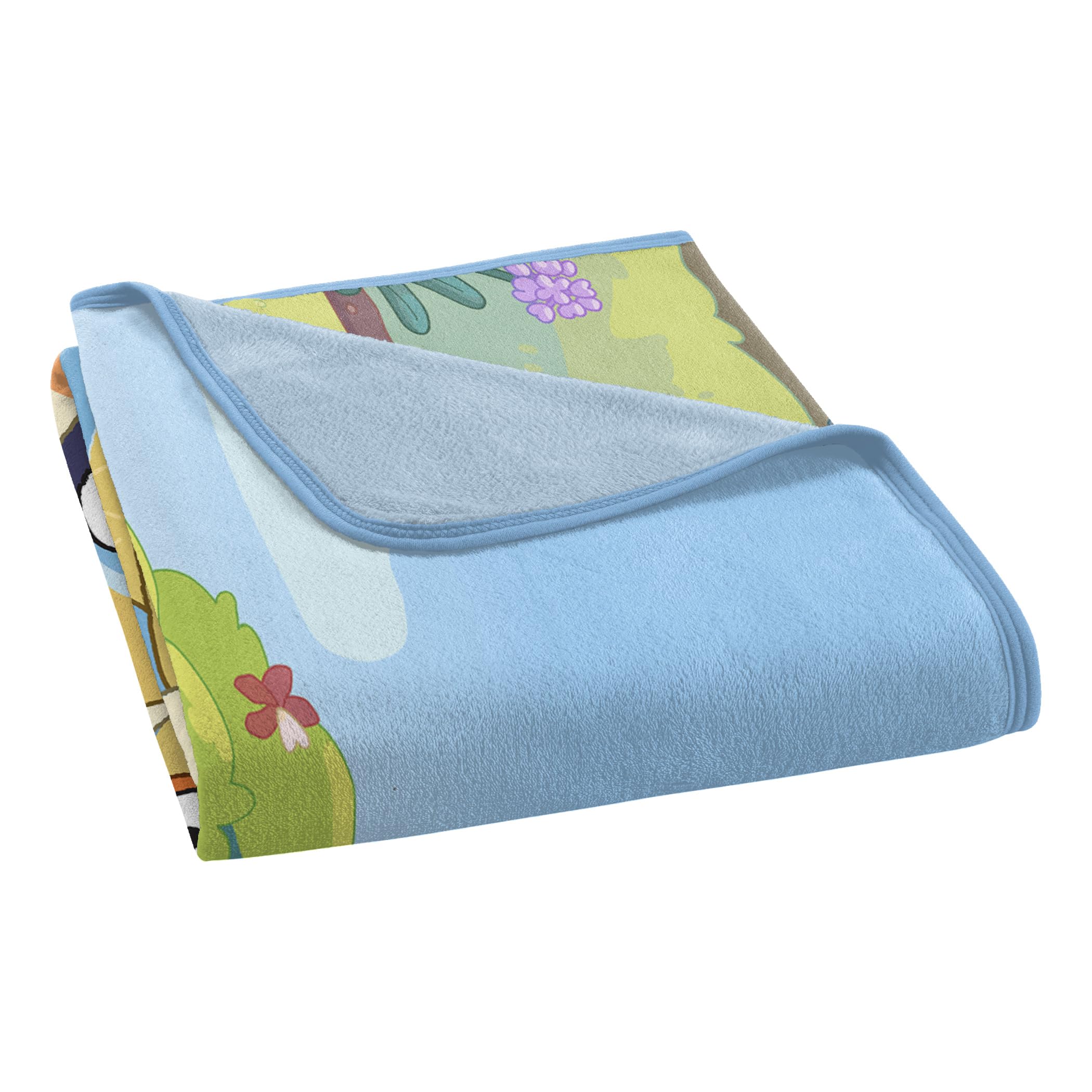 Northwest Bluey Micro Raschel Throw Blanket, 46" x 60", Family Photo