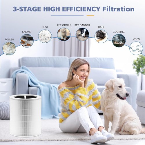 LEVOIT Core 600S Replacement Filter - 3-in-1 HEPA & Activated Carbon for Large Rooms | 2 Pack