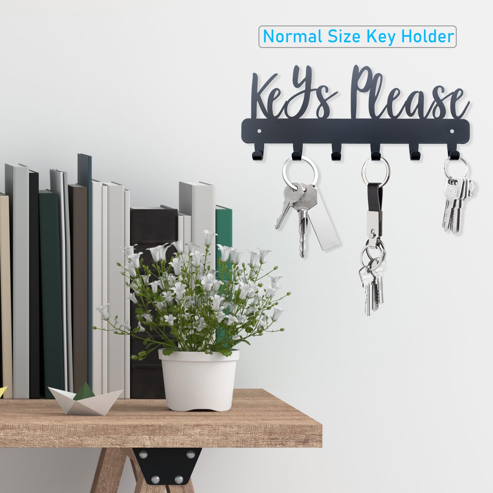 BITALYE Keys Please Holder on Wall,Key Holder Wall Mounted,Black Metal Decorative Key Rack Hooks for Garage, Mudroom, Hallway,Entryway,Front Door,Office (Normal Size:11x4.57inches)