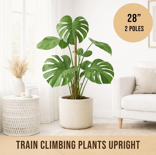 Craft911 Moss Pole Monstera Plant Support - 2 Pack 28” Bendable Stakes for Climbing Indoor Plants