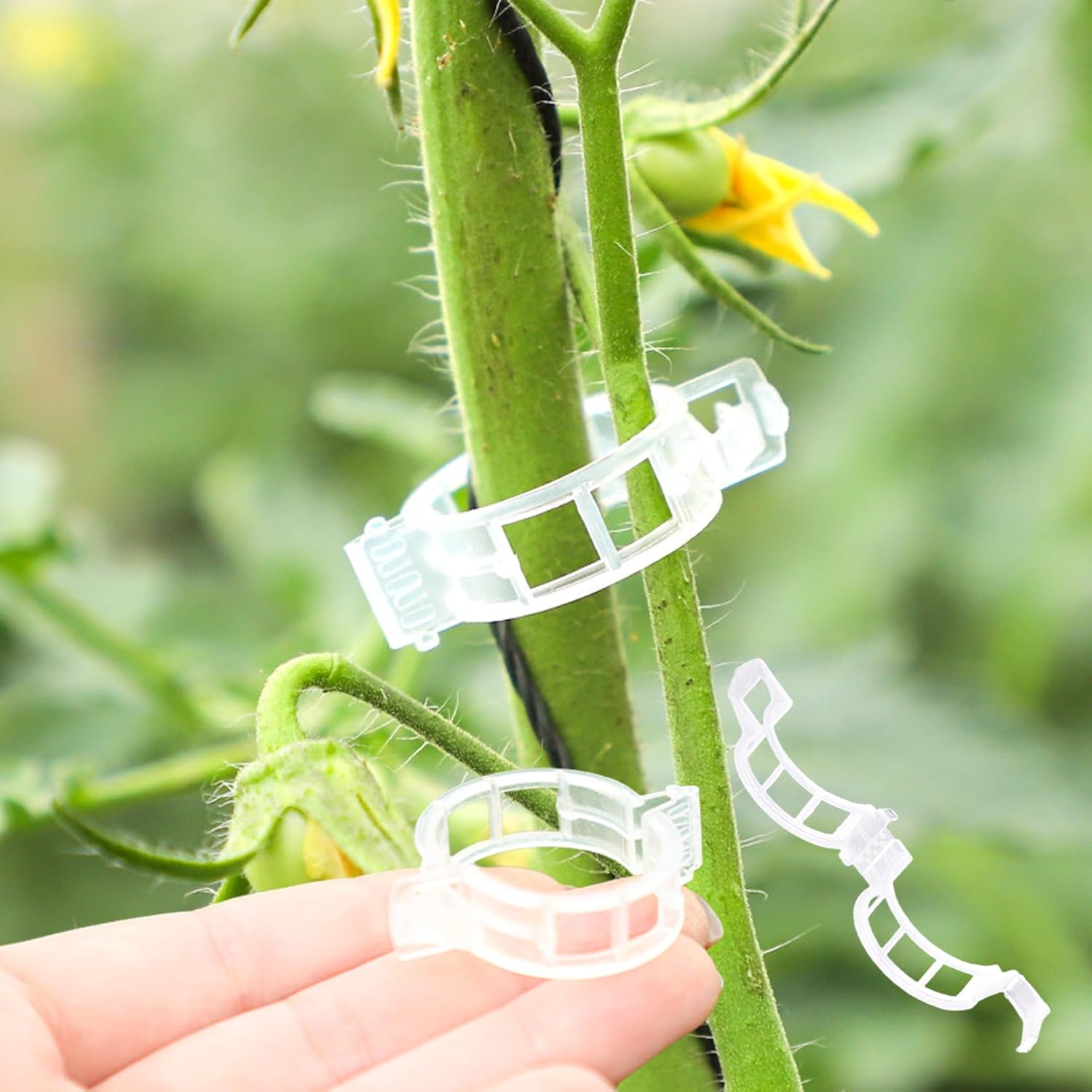 Skiennix 100 Pcs Plant Clips - Durable Adjustable Support for Climbing Plants, Tomatoes & Vegetables