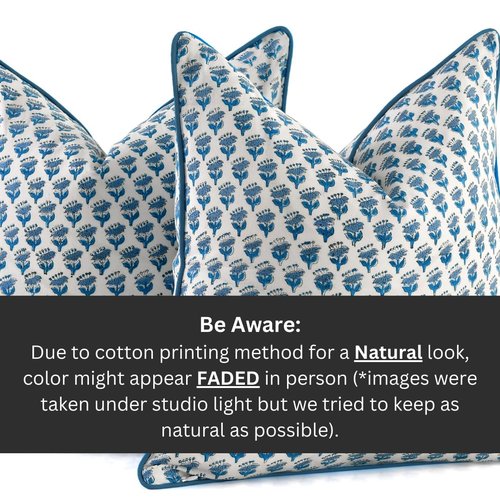 CPC 100% Cotton Throw Pillow Covers 18x18 Inch, Set of 2 Blue Block Print Pattern Couch Pillow, Cute Boho Decorative Pillows for Living Room, Bedroom with Hidden Zipper- Apatite Blue