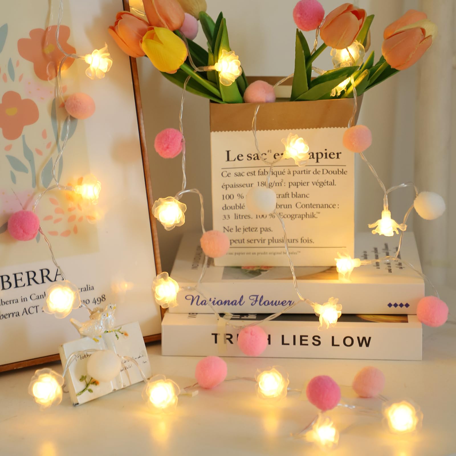 ChiRee 9.85Ft String Lights 20 Cute Pink Pompoms 20 LEDs Rose Fairy Lights Garland Battey Operated with Timer Flower Lights for Bedroom Kids Room Party Birthday Wedding Valentines Decorations