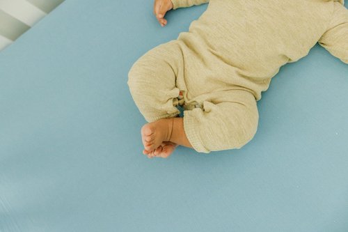 Premium Fitted Knit Crib Sheet/Toddler Sheet Robin by Copper Pearl, CP-CRSH-0128-NSZ