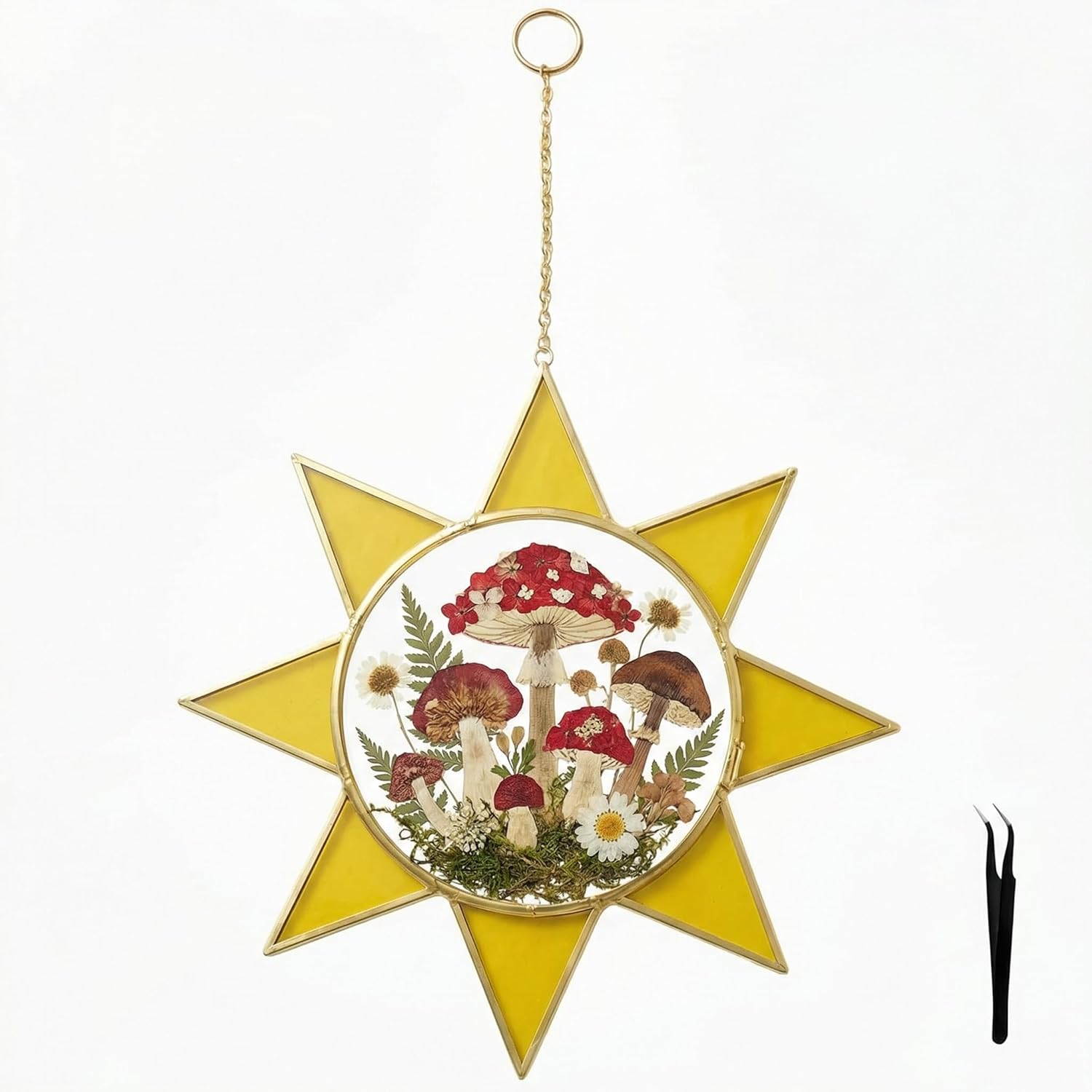 Sunburst Pressed Flower Frames - Decorative Double Glass Wall Art | Horizontal Display for Dried Flowers, Gold Finish