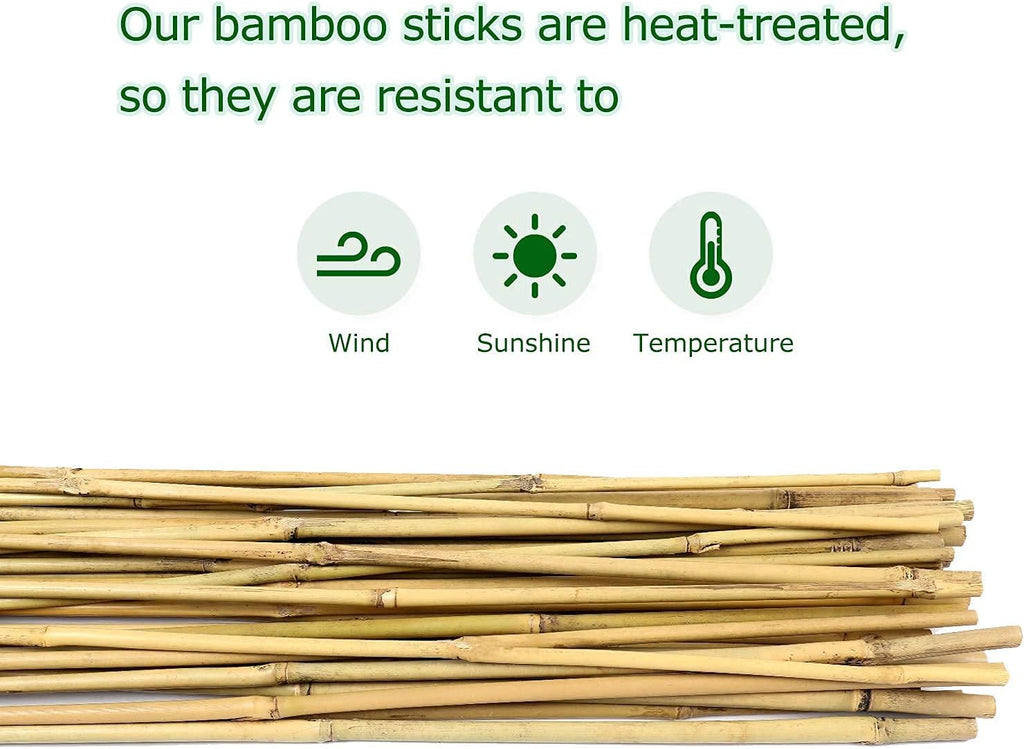 Cambaverd Bamboo Stakes - 4ft Natural Plant Support for Tomatoes & Climbing Plants | 25 Pack