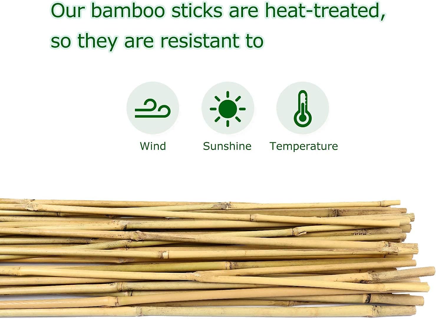 Cambaverd Bamboo Stakes - 4ft Natural Plant Support for Tomatoes & Climbing Plants | 25 Pack