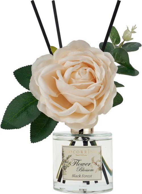 Cocorrina Reed Diffuser Set - Black Forest Scented Diffuser with Sticks | 6.7 oz Home Fragrance for Large Rooms