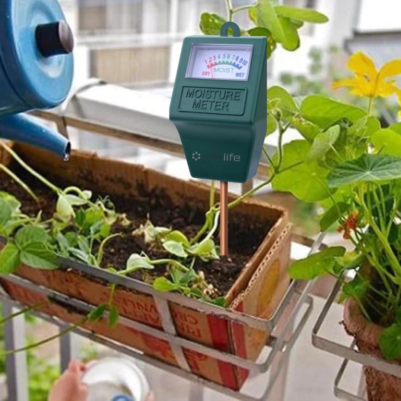 Skiennix Moisture Meter - Indoor & Outdoor Plant Soil Hygrometer Sensor | No Battery Needed
