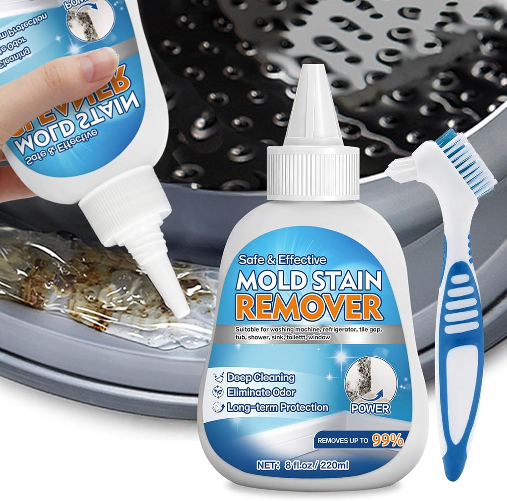 Regine Switzerland Home Mold Stain Remover Gel - No Scrub Cleaner for Washer Seals & Bathroom Grout