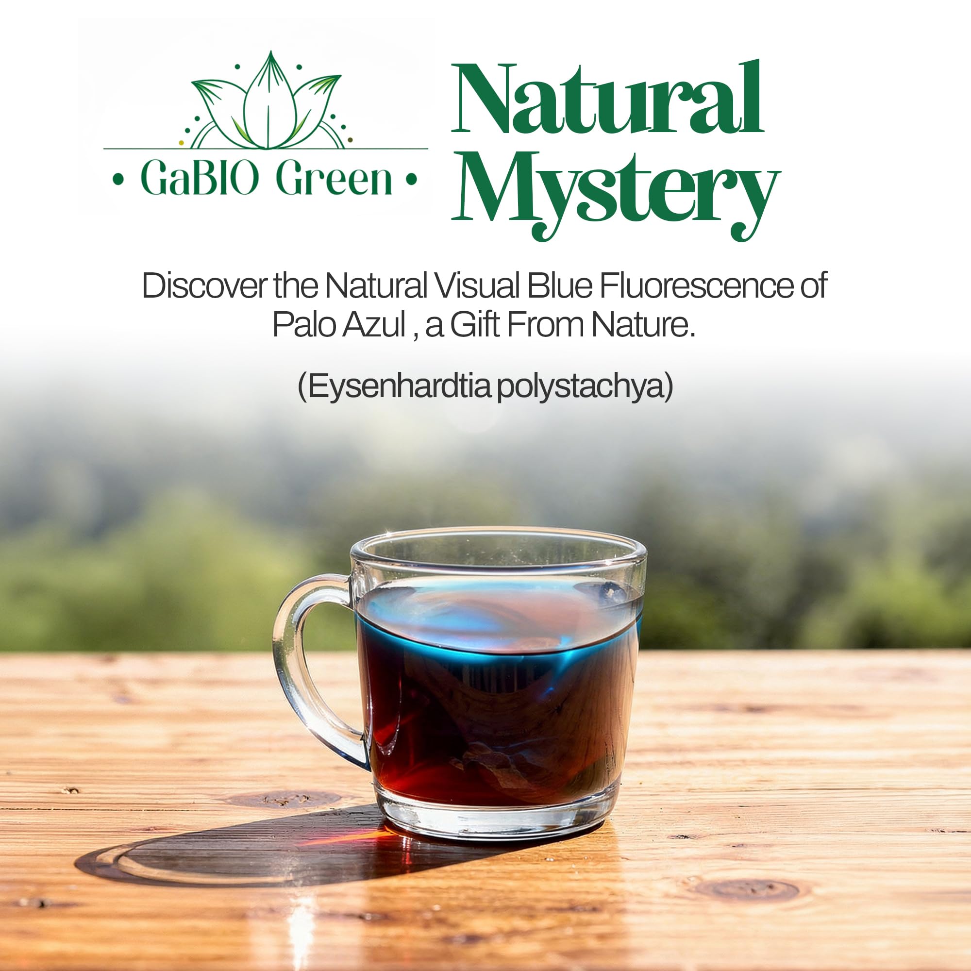Palo Azul Tea Kidneywood (Eysenhardtia polystachya) Carefully Packed in a Light-Block Resealable Pouch. Blue stick for Traditional Mexican Infusion (2.1oz/59.5gr). by Gabio Green.