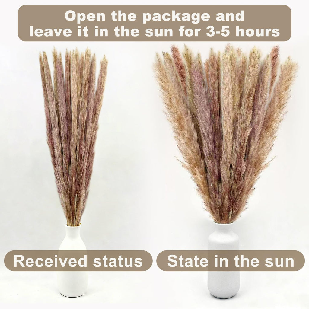 Gumingm Dried Pampas Grass Decor, 100 Stems Bouquet with Bunny Tails & Reed Grass, Boho Dried Flowers for Wedding, Home Table Centerpieces, Rustic Farmhouse Party Decorations