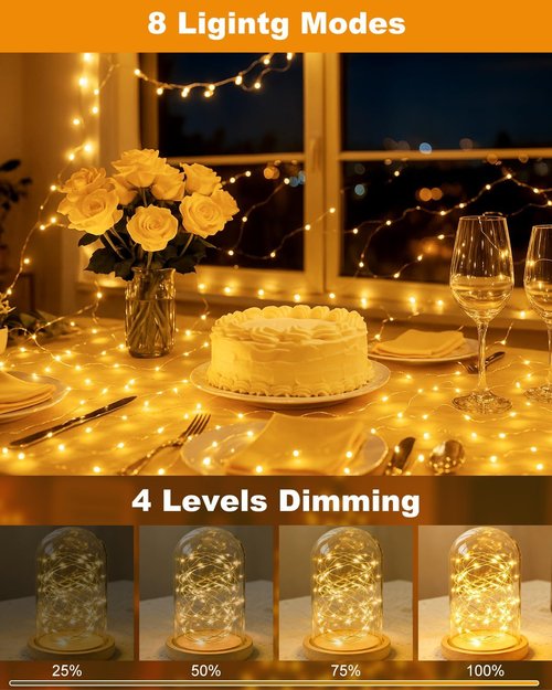Btfarm Rechargeable Fairy Lights - 33FT 100LED Twinkle String Lights with Remote & Timer | Waterproof Warm White for Indoor & Outdoor Decor