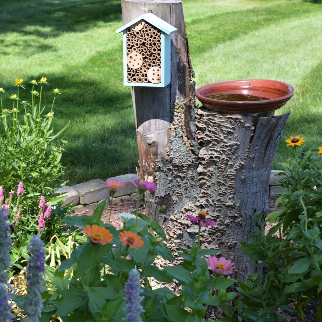 Nature's Way Bee House - PWH1-C Teal Color | Attract Pollinators to Your Garden