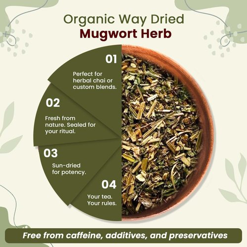 Organic Way Mugwort Herb Loose Leaf Cut & Sifted (Artemisia Vulgaris) Herbal Tea | Kosher & USDA Certified | Vegan, Non-GMO & Gluten Free | Raw from Albania (4 Ounce (Pack of 1)