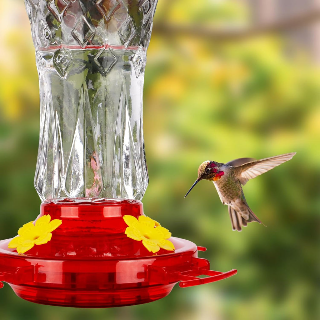 BOLITE Glass Hummingbird Feeder - 15 Ounce Leak-Proof Design with 4 Bee Guards | Red Stars Decor, 2 Pack