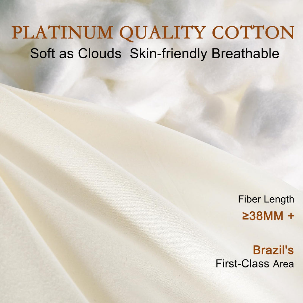 YOUR MOON Soft Natural Wool Pillow Queen, Flat & Thin Wool Pillow for Sleeping, Low-Loft Bed Pillows for Back and Stomach Sleepers, Breathable Soft Cotton Cover(Off White)