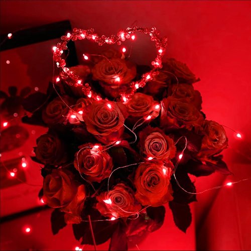 LAMPHOME 6 Pack Red Valentine's Fairy Lights - 7 ft Battery Operated LED Mini String Lights | Waterproof Silver Wire for DIY Decor