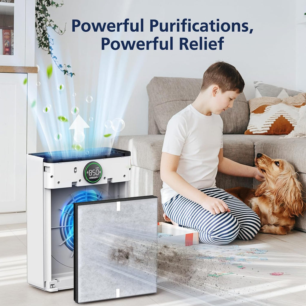 Mooka PR1 Replacement Filter - HEPA Activated Carbon for Large Rooms up to 2200 sq.ft | 4 Washable Filters for Pets
