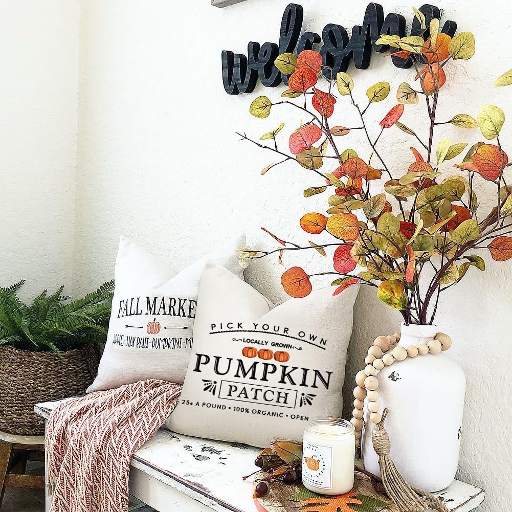 RABUSOFA Fall Pillow Covers - 18x18 Inch Waterproof Cushion Cases | Thanksgiving Pumpkin Patch Design