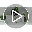 Wash Your Worries Away Funny Bathroom Wood Box Sign - Eucalyptus Style I