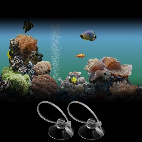 FEBSNOW Aquarium Suction Cups - 30 PCS Adjustable Clips with Cable Ties for Plants & Shrimp Nest