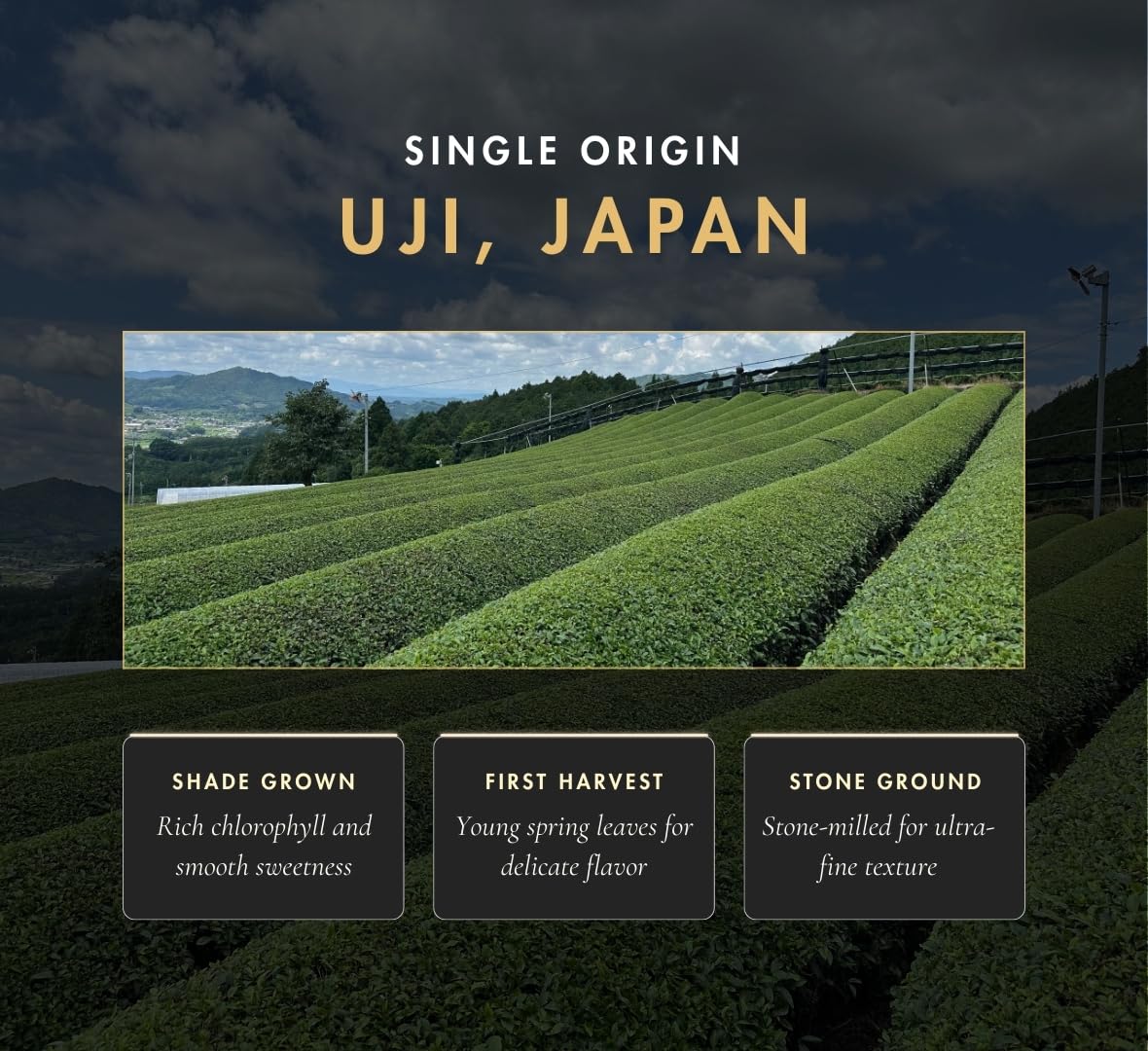 Nippon Matcha | Organic Premium Ceremonial Grade Japanese Matcha Green Tea Powder - First Harvest from Uji, Kyoto - USDA Certified, Stone-Ground, Smooth & Vibrant (100g/3.53oz)