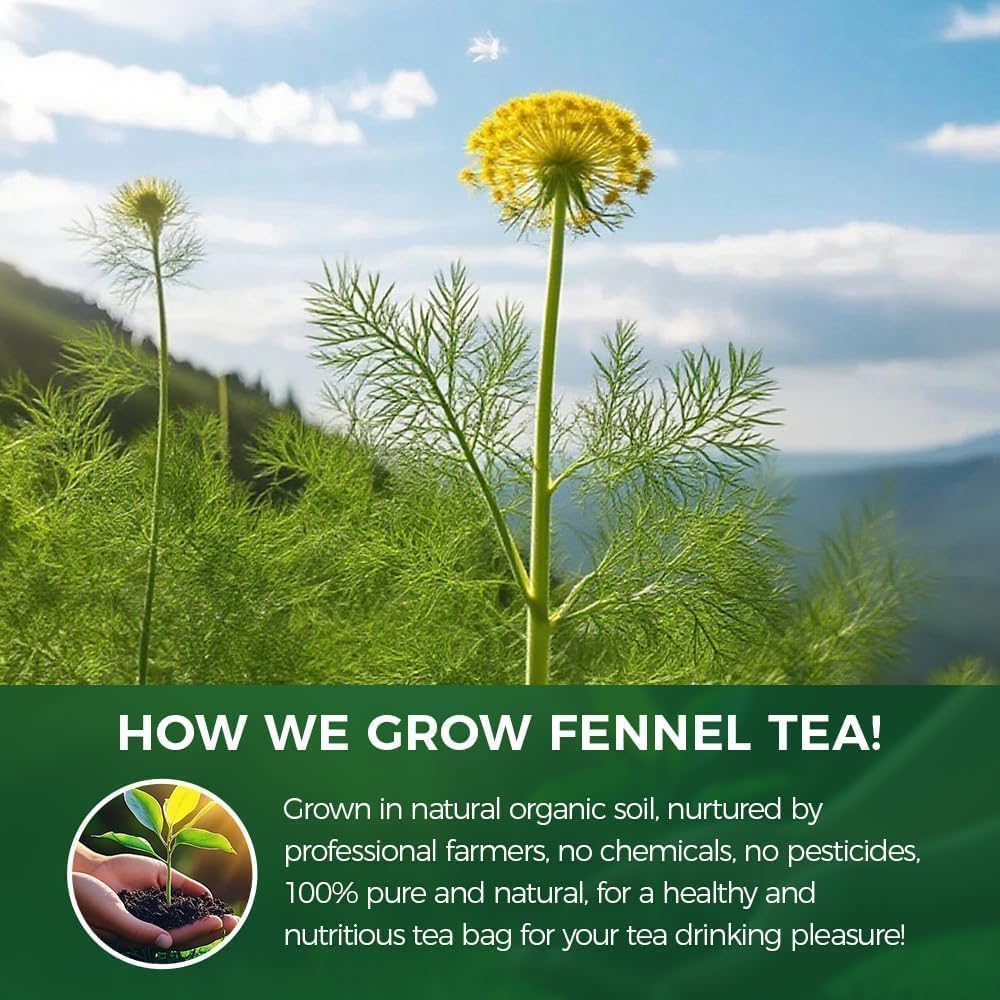 WOTIHA 90 Count Organic Premium Fennel Tea Bags - 100% Natural & Pure Herbal Tea, Supports Digestion & Reduces Bloating, Caffeine-Free, Sugar-Free, Gluten-Free, Vegan.Non-GMO